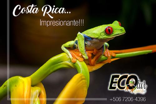 Anuncio FB01