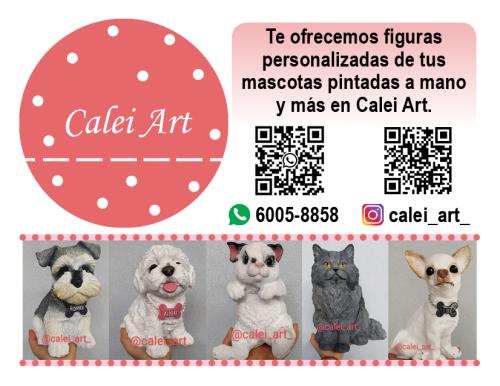 Calei Art Volantes